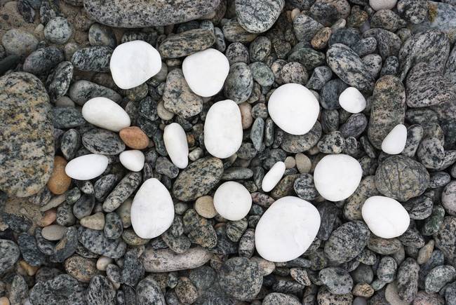 Sixteen Small Stones - Bryce Gandy